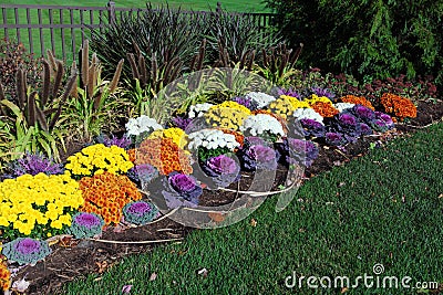 Flower Garden Stock Photo