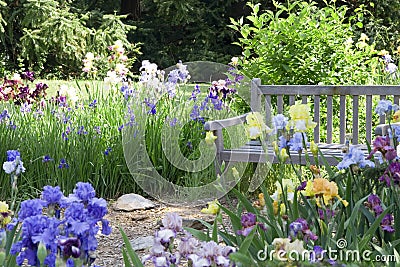 Flower Garden Stock Photo