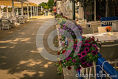 Flower garden on a beach road on lake of Ada Ciganlija, Belgrade Editorial Stock Photo