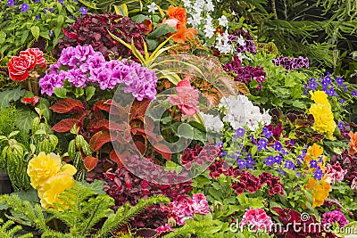 Flower garden in Victoria British Columbia Canada Stock Photo