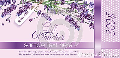 Flower gift vouchers Vector Illustration