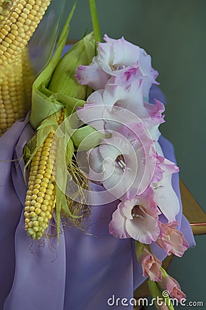 Flower gladiolus Stock Photo