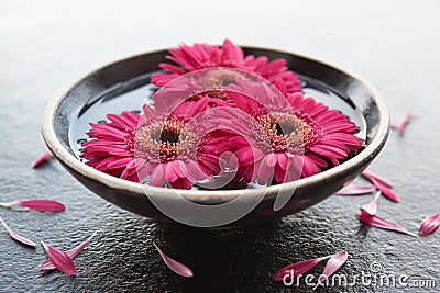 Flower heads in bowl of water Stock Photo