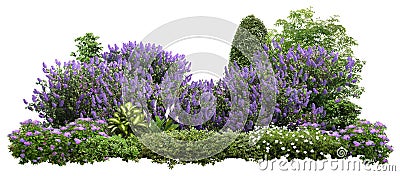 Cut out landscape design. Lilacs and flower bed Stock Photo