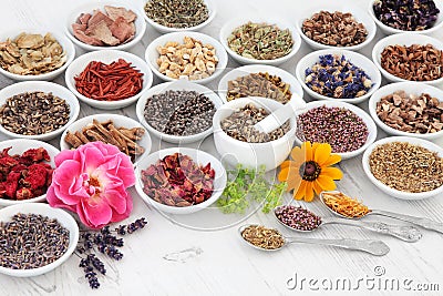 Flower and Herb Medicine Stock Photo