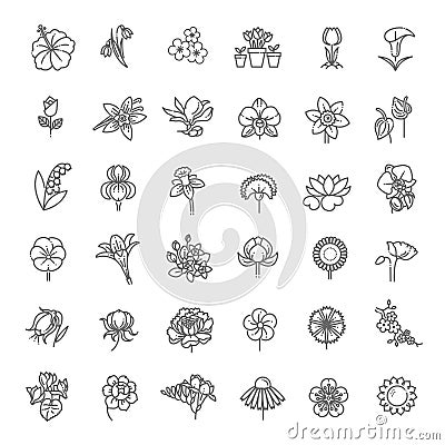 Flower Icon Set - Vector Illustration Vector Illustration