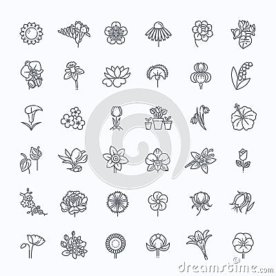 Flower Icon Set - Vector Illustration Vector Illustration