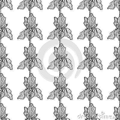 Flower Iris pattern black vertical Vector Illustration