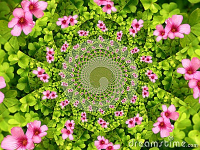 Flower kaleidoscope Stock Photo