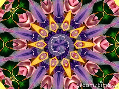 Flower Kaleidoscope Pattern Stock Photo