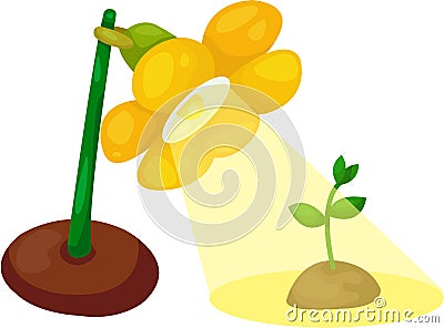 Flower lamp with young green seeding Vector Illustration