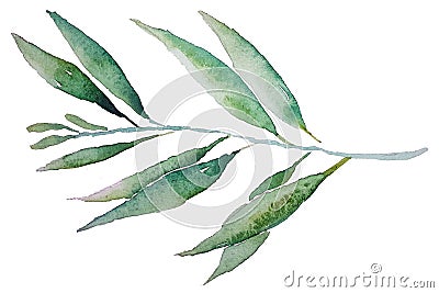 Flower Leaf With Watercolor Stock Photo