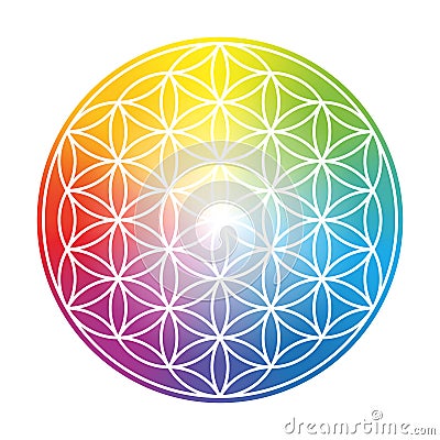 Flower Of Life Colorful Circular Rainbow Gradient Vector Illustration