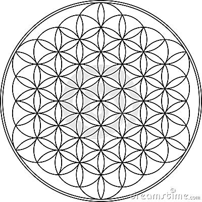 Flower of life Vector Illustration