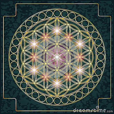 Flower of Life Gold Vector Illustration