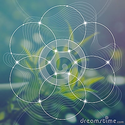 Flower of life - the interlocking circles ancient symbol in front of blurred photorealistic nature background. Sacred geometry - m Stock Photo