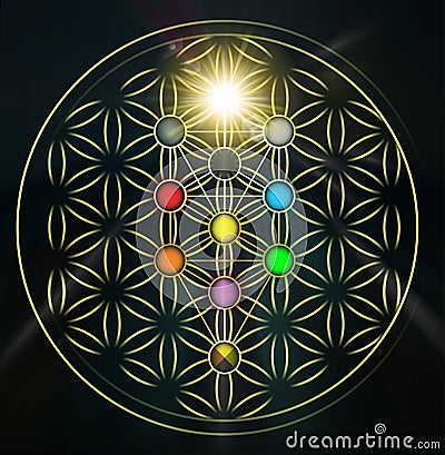 Flower of life with Kabbalah tree of life, Judaism Stock Photo