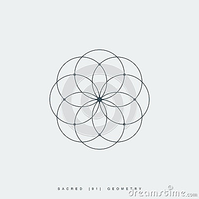 Flower of life, mandala ornament, sacred geometry Vector Illustration