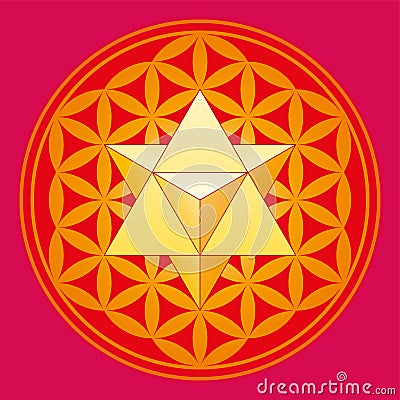 Star tetrahedron, Merkaba, in the Flower of Life Vector Illustration