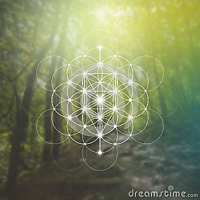Flower of life sacred geometry illustration with intelocking circles and light dots in front of photographic background. Hipster Cartoon Illustration