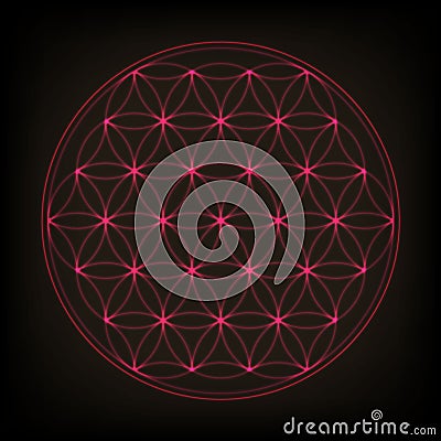 Flower of life. Sacred geometry, vector. Pink neon vector illustration. Vector Illustration