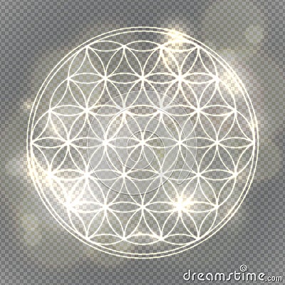 Flower of life. Sacred geometry, vector spiritual symbol. Vector Illustration