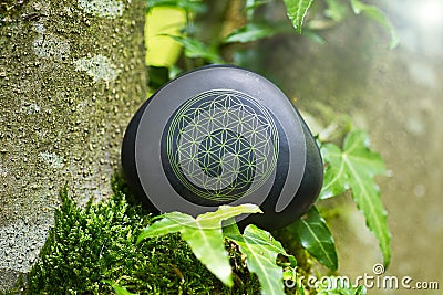 Flower of Life Stock Photo