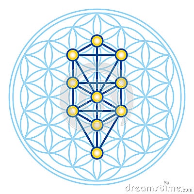 Flower of Life in Tree of Life illustration Vector Illustration