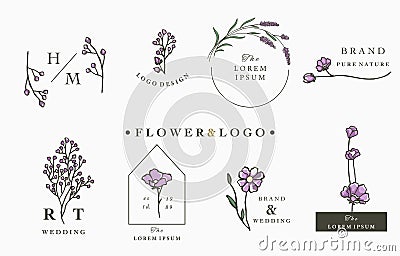 Flower logo collection with leaves,geometric,circle,square frame.Vector illustration for icon,logo,sticker,printable and tattoo Vector Illustration