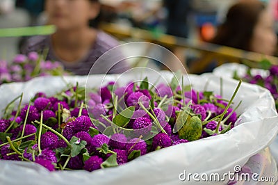 Flower market Pak Klong Talad in Bangkok, Thailand Stock Photo