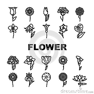 Flower Natural Aromatic Plant Icons Set Vector Vector Illustration