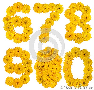 Flower numbers Stock Photo