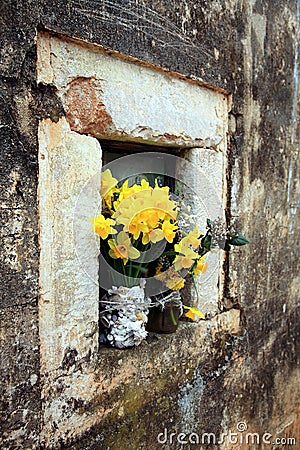 Flower in old church - Ston Stock Photo