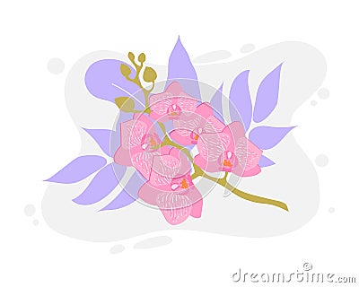 Flower orchid. Vector flower exotic orchid branch Cartoon Illustration