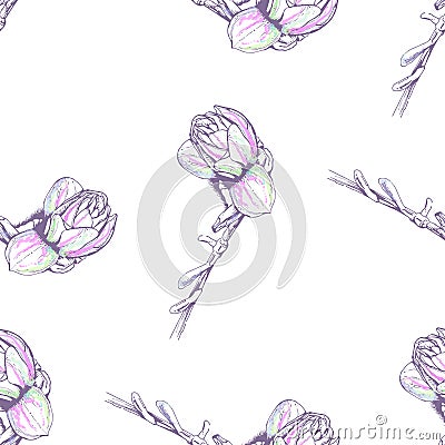 Flower Pastel.White Romantic Seamless Pattern. Vector Illustration