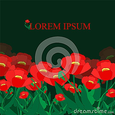 Flower pattern. poppy. banner or card design. illustration Cartoon Illustration