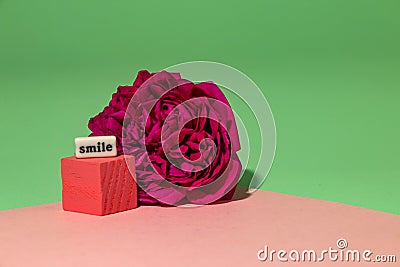 flower and pink cube with the inscription smile, creative cheerful design on the green-pink background Stock Photo