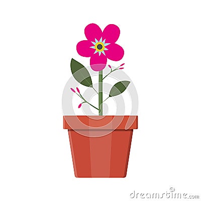 Flower plant in flower pot. Decoration home plant. Vector Illustration