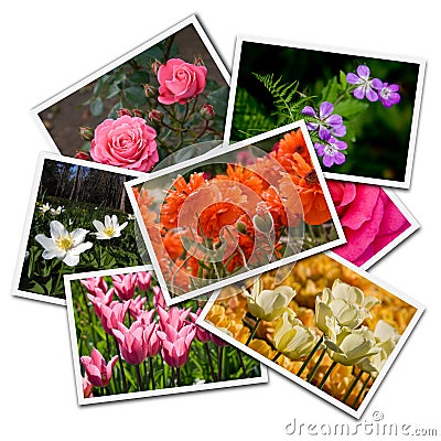 Flower postcards Stock Photo