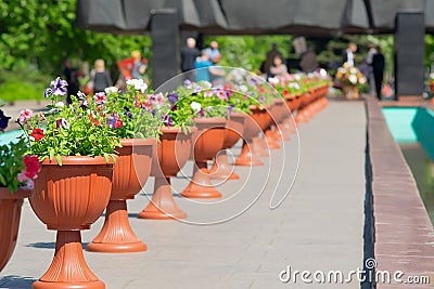 Flower pot on the background of a memorial and people Stock Photo