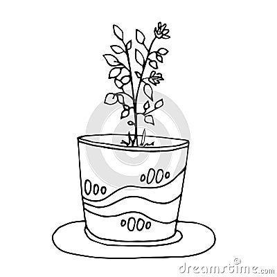 Flower pot. Coloring book vector illustration Vector Illustration