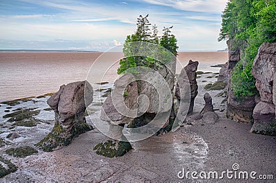 Rock Formations in Hopewell Rocks Park, New Brunswick Stock Photo