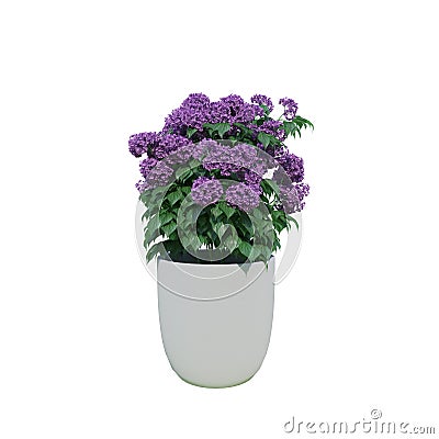 Flower in a pot. Garden design. Landscaping Stock Photo