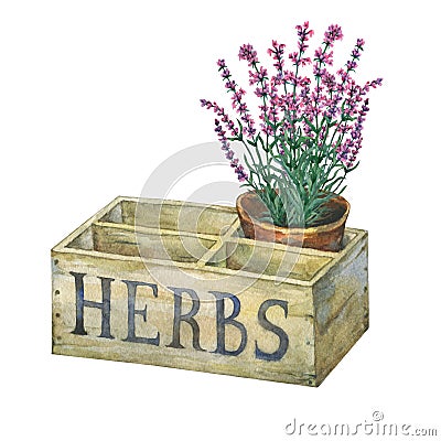 Flower pot with lavender in an old wooden crate garden. Stock Photo