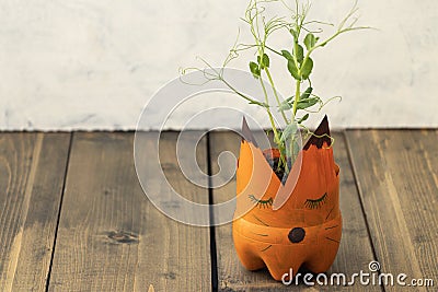 flower pot in the shape of a fox from a plastic bottle. The concept of ecology, garbage recycling, garbage recycling Stock Photo