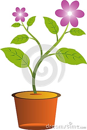 Flower with pot Vector Illustration