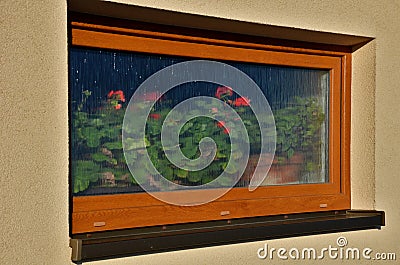 Flower pots behind house window. plastic flower pots with beautiful decorations of annuals and geraniums. cold and so it is necess Stock Photo