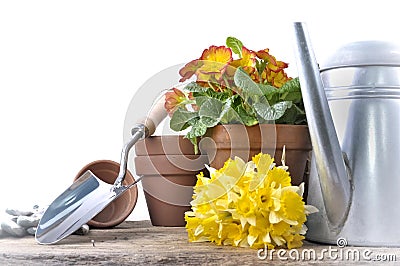 Flower pots and bouquet of daffodils with garden accessories Stock Photo