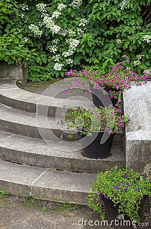 Flower pots decorating stone steps in a garden Stock Photo