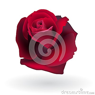 Flower rose Vector Illustration